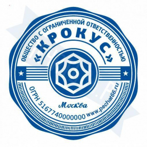 Макет печати для ООО с индивидуальным дизайном №11